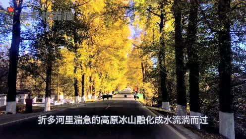 娱乐吃瓜君别墅,揭秘隐藏在豪宅背后的奢华生活